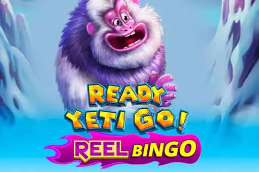 Ready Yeti Go + Reel Bingo 93